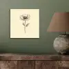 Klaproos - Illustratie - Zwart aluminium wit klein -sfeer2