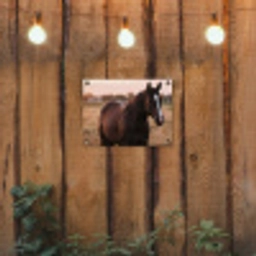 Paard - Zonsondergang - Bruin tuinposter los doek klein -sfeer1