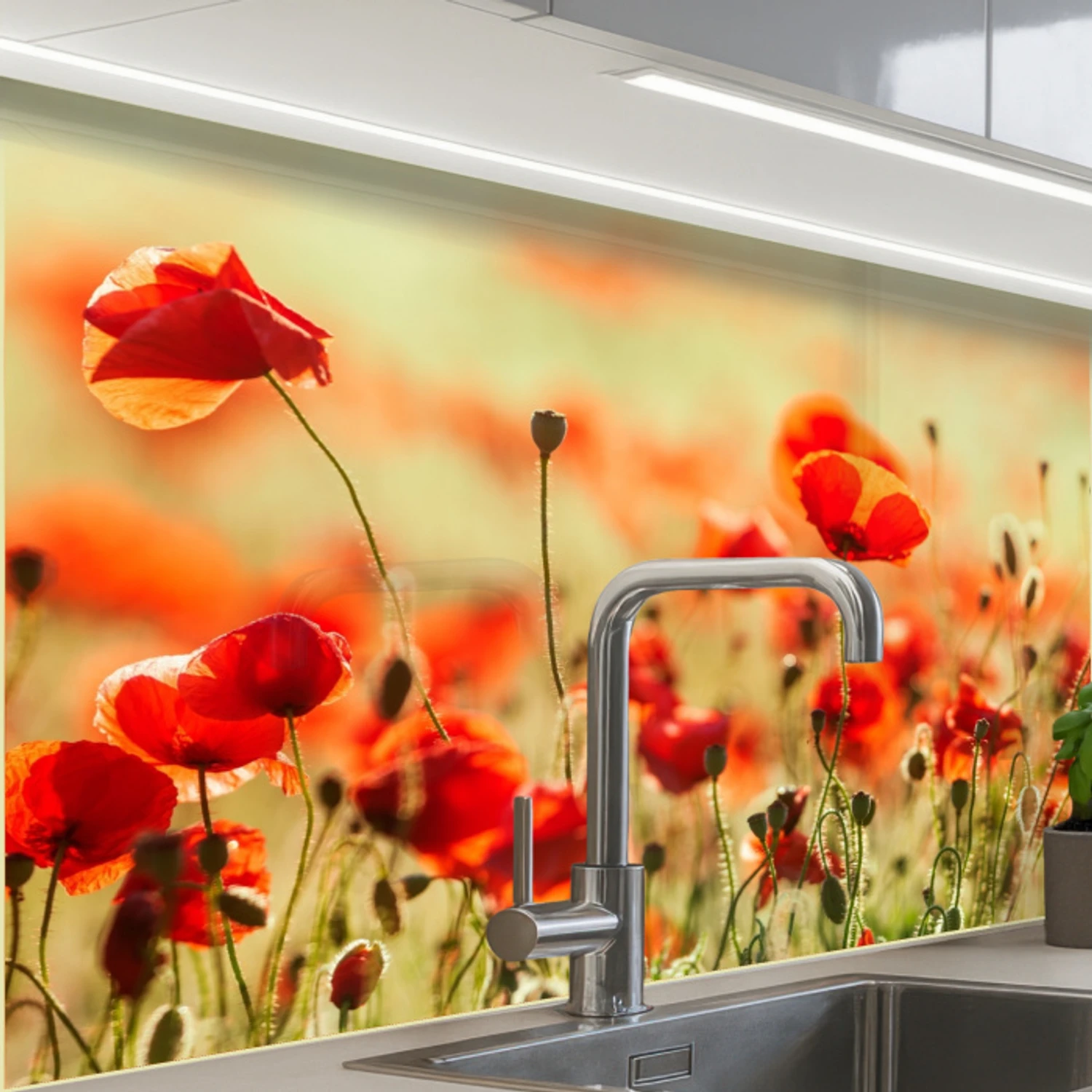 Klaprozen - Bloemen - Rood - Bloemenveld keuken achterwand 2 middel -zzzz3d_schuin