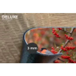 Goudvink - Bessen - Herfst - Natuur - Kleurrijk Placemat vinyl groot -closeup