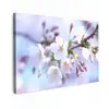 Bloemen - Sakura - Tak - Bloesem takken Tuinposter op houten frame 2 cm dik klein -3d