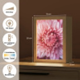 Dahlia - Bloem - Close up - Roze Light Box met kabel (Tafellamp) klein -USP_DE