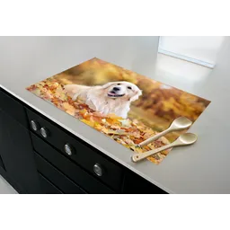 inductiebeschermercollecties-met-pan-en-pollepels-eigenfoto.png