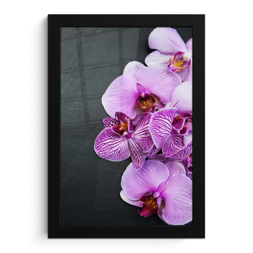 Orchidee - Bloemen - Roze - Flora fotolijst zwart zonder passe partout klein -3d