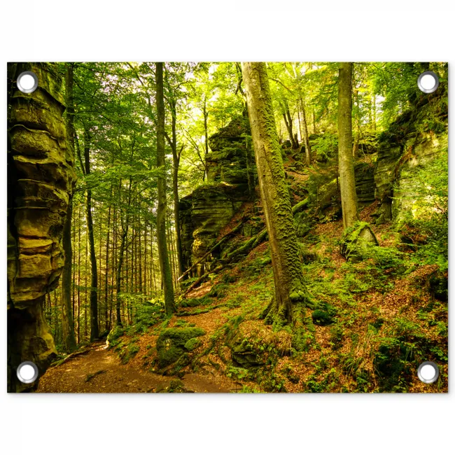 Bosrijke rotsformatie tuinposter los doek klein -3d