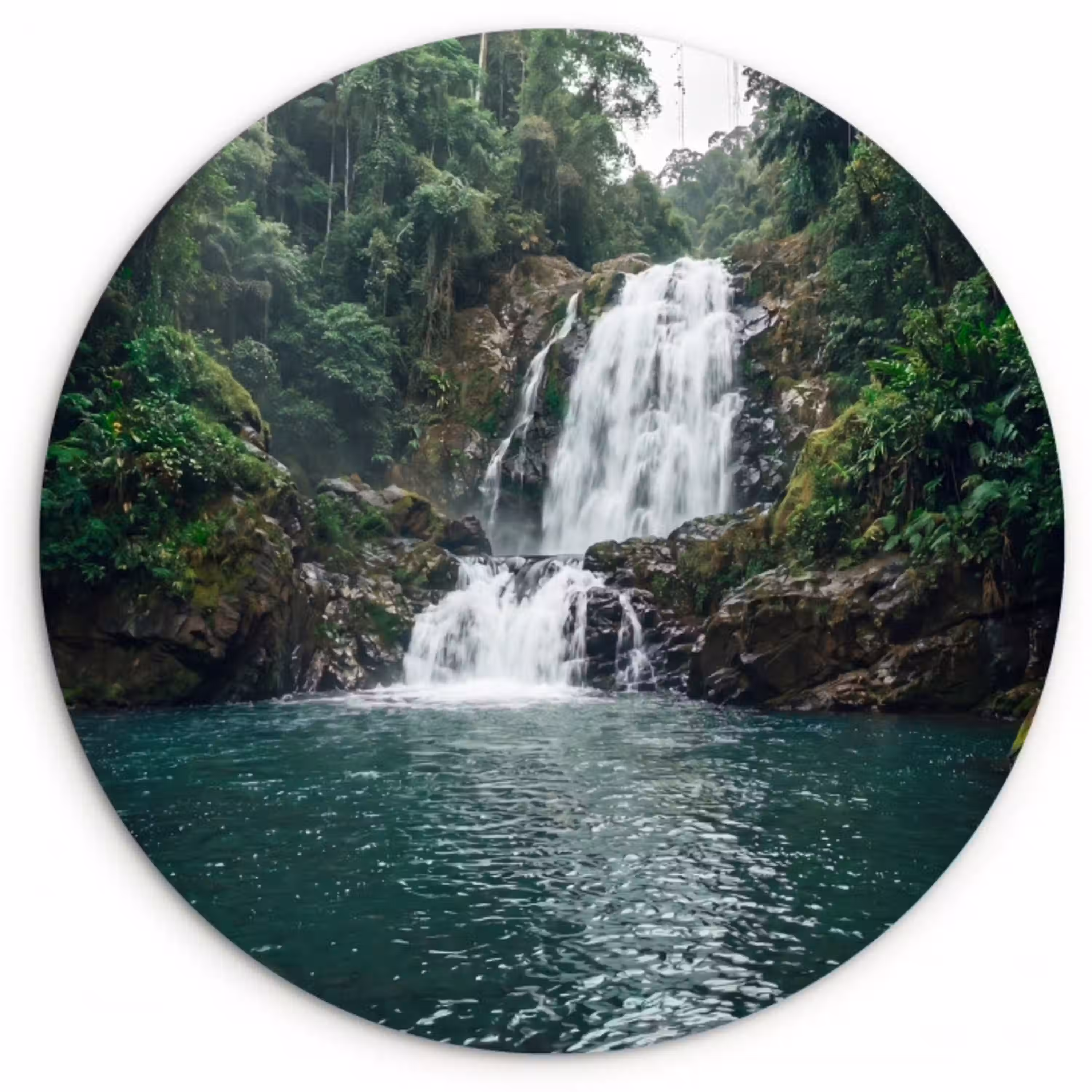 Waterfall - Forest - Nature - Greenkhgyguyg Wandcirkel kunststof plaat 5mm dik klein -3d