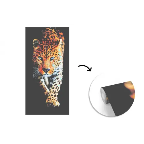 Luipaard - Dieren - Portret - Wilde dieren - Zwart fotobehang vinyl groot -3d