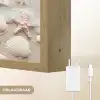 Schelpen - Zeesterren - Strand Light Box met batterij (Wandlamp) middel -USP_websiteoplaadbaarNL