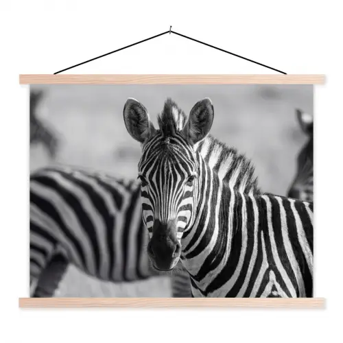 Zebra's - Zwart - Wit textielposter latten blank klein -3d