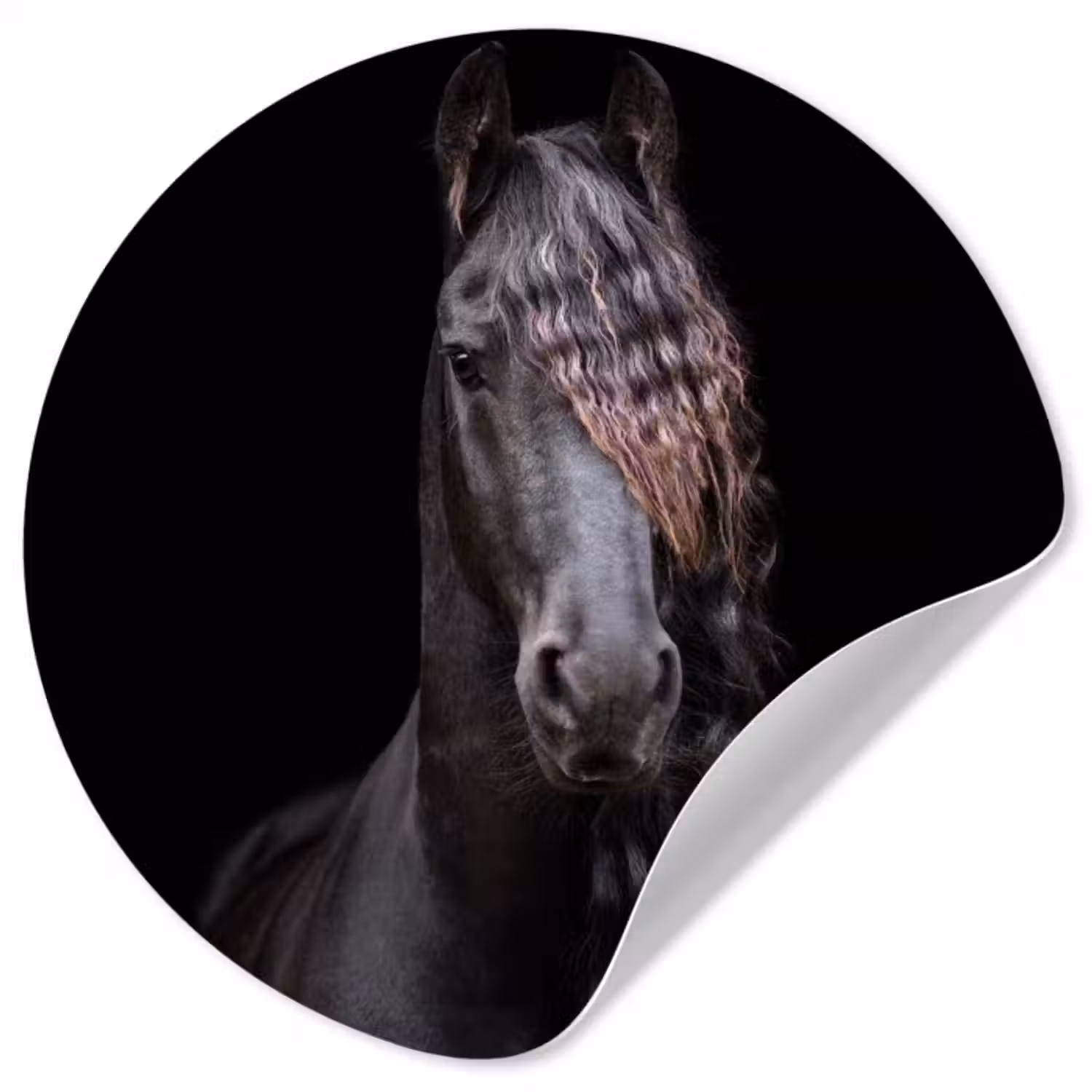 Behangcirkel - Paarden - Fries - Manen - Zwart - Dieren