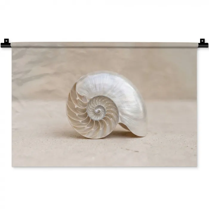 Schelp - Spiraal - Beige Wandkleed katoen klein -zz3d