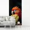 Close-up - Papegaai - Veren - Oranje fotobehang vinyl groot -woonkamer