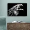 Adelaar - Portret - Roofvogels - Zwart - Wit - Vogel canvas 2cm klein -sfeer4