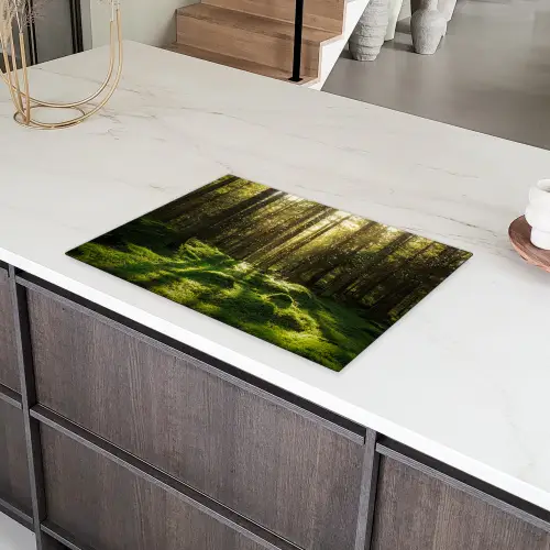 Bomen - Bos - Mos - Planten - Zon - Natuur Inductie beschermer vinyl 3mm middel -sfeer8