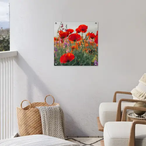 Bloeipracht van Klaprozen tuinposter los doek klein -sfeer8