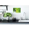 IJsvogels vliegen in het water Muursticker klein -keuken