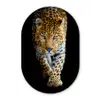 Luipaard - Dieren - Portret - Wilde dieren - Zwart Wandcirkel Ovaal Forex klein -3d