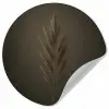 Tak - Pluimgras - Donkerbruin Wandcirkel behangsticker klein -3d