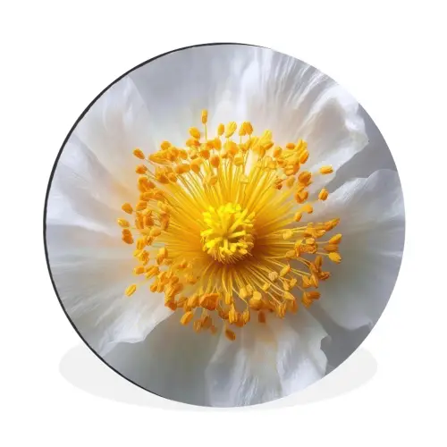 Wit - Bloem - Elegant Wandcirkel aluminium klein -3d