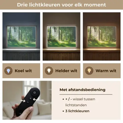 Natuur - Bomen - Bos - Groen - Zon - Gras - Planten Light Box met batterij (Wandlamp) middel -USP_lichtkleurNL