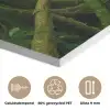 Jungle - Brug - Mos - Natuur - Tropisch PET vilt klein -closeup_NL