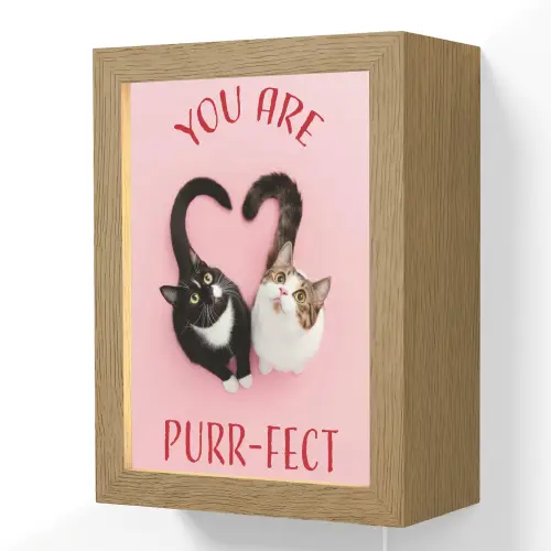 Kat - Hart - Tekst - Valentijn Light Box met kabel (Wandlamp) klein -3d