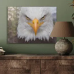 Amerikaans - Zeearend - Portret - Geel PET vilt klein -sfeer2