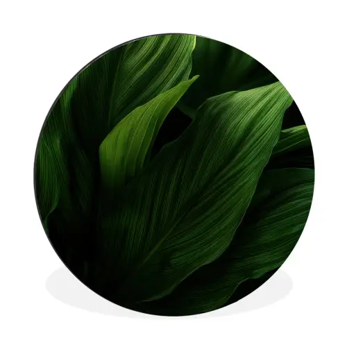 Bladeren - Schaduw - Groen - Textuur Wandcirkel aluminium klein -3d