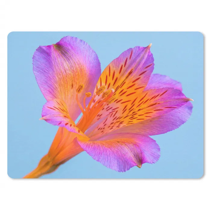 Bloem - Detail - Kleurrijk muismat rubber klein -3d