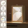 Ovale vormen - Transparant - Zachte overgang Light Box met kabel (Tafellamp) klein -USP_NL