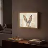 Haas - Oren - Bruin Light Box met batterij (Wandlamp) middel -sfeer1