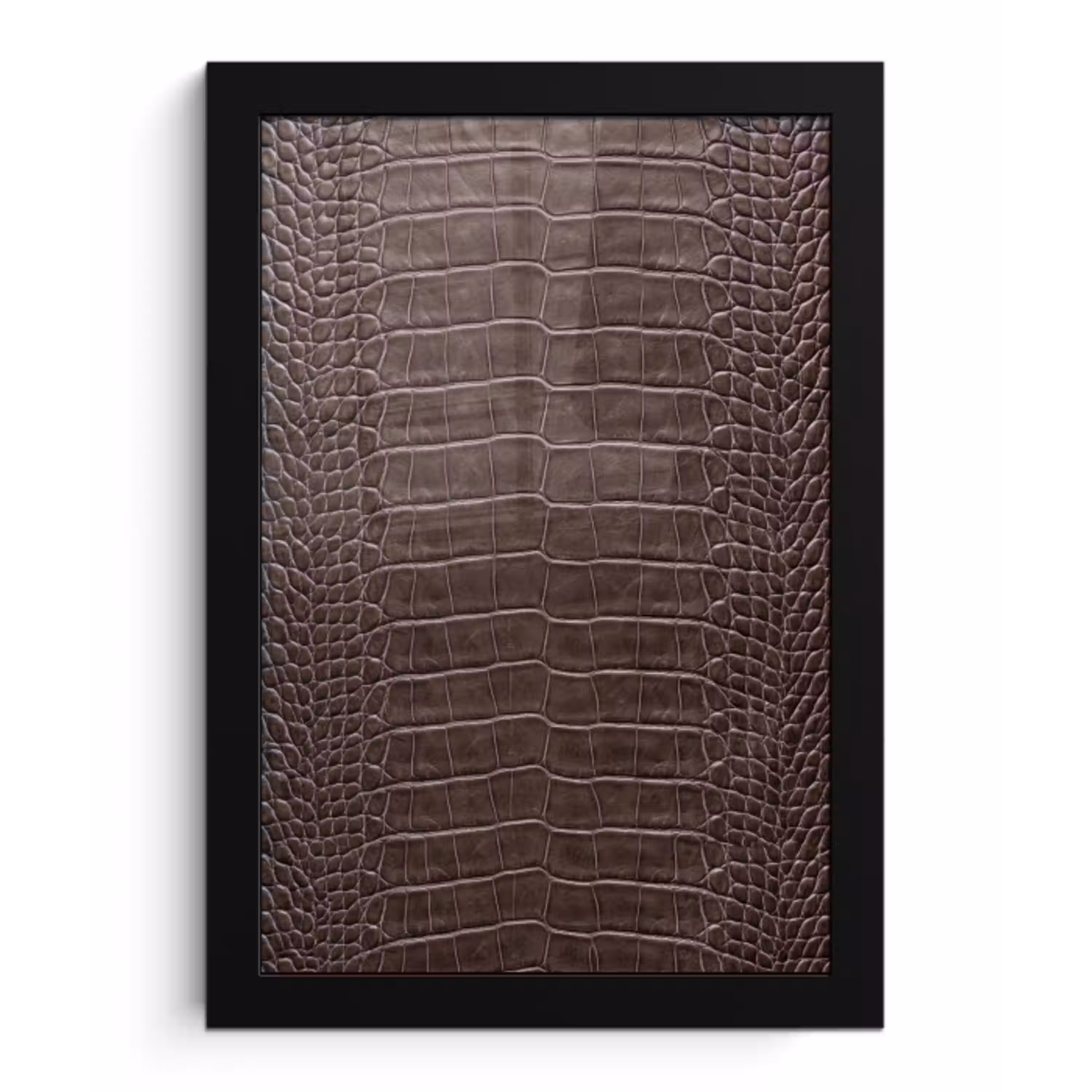 Leer - Krokodil - Mat fotolijst zwart zonder passe partout klein -3d