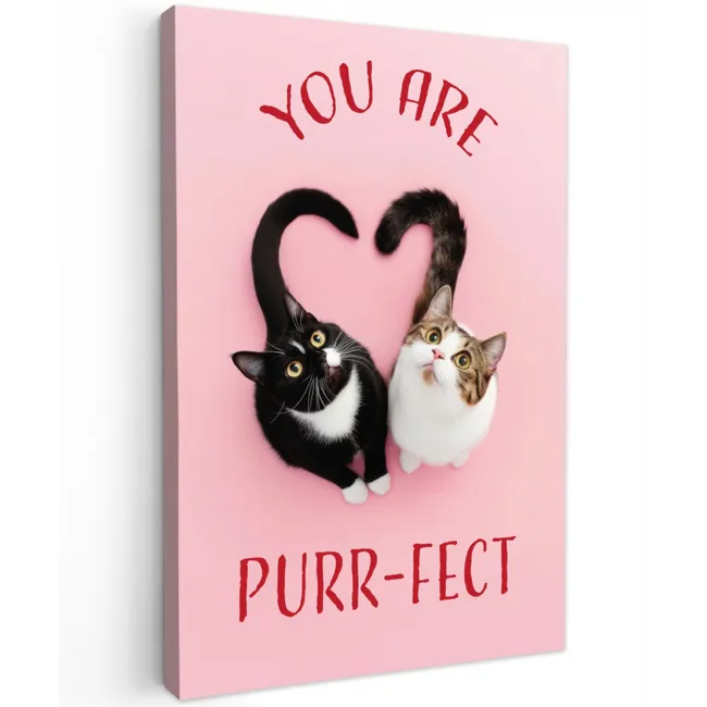 Kat - Hart - Tekst - Valentijn Tuinposter op houten frame 2 cm dik klein -3d