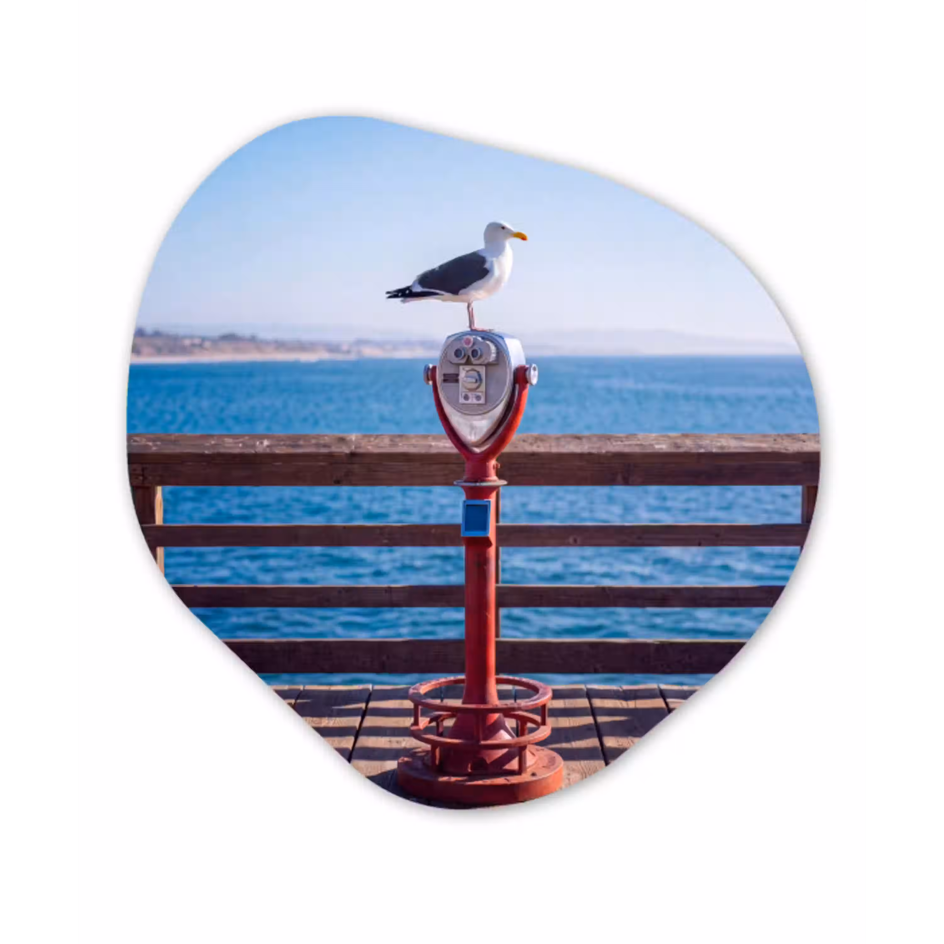 Vogel - Verrekijker - Kust - Zee - Blauw Wandcirkel Organisch Aluminium middel -3d