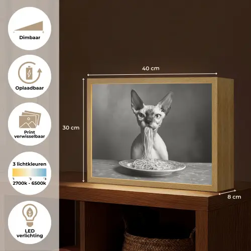 Sphynx - Kat - Dieren - Humor - Spaghetti - Zwart Wit Light Box met batterij (Wandlamp) middel -USP_websiteoverzichtNL