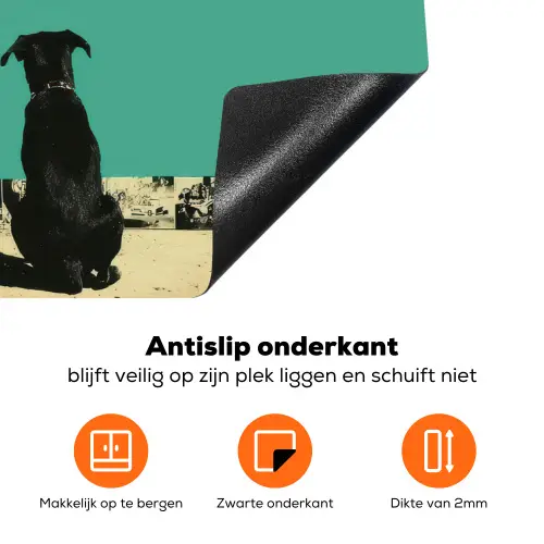Retro - Jongen - Hond - Rood - Groen Inductie beschermer vinyl 3mm klein -zzzzzzz-td-onderkant
