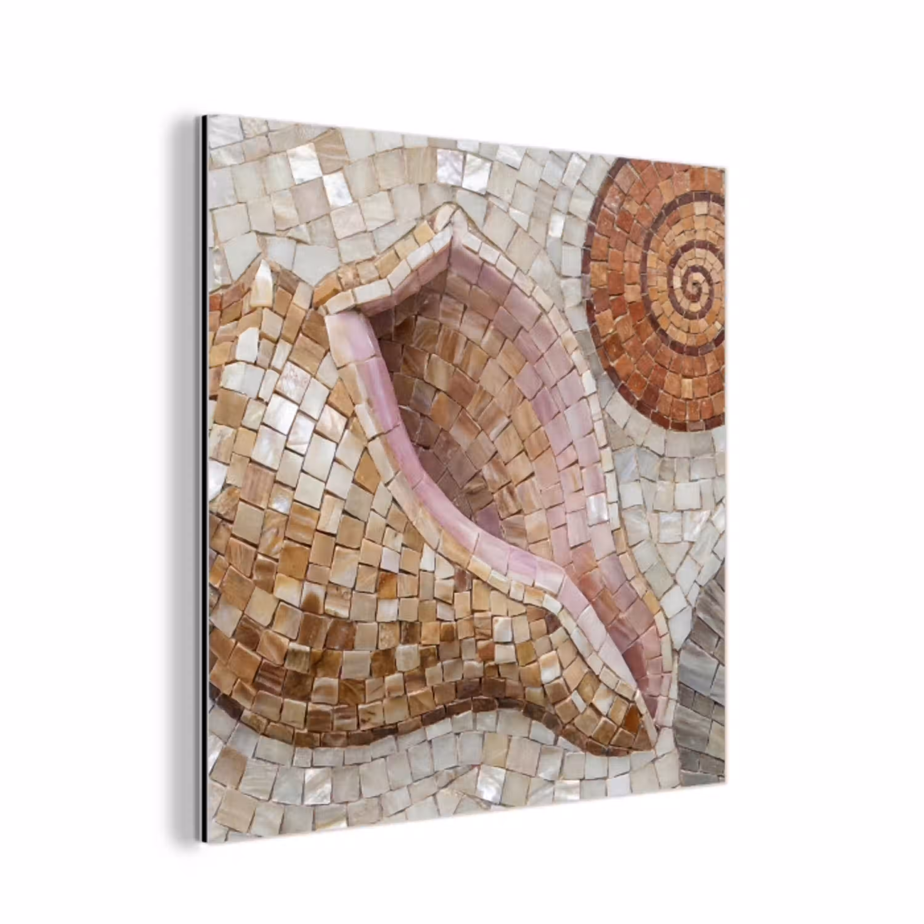 Schelp - Mozaïek - Zee - Beige - Modern aluminium wit klein -3d