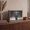 Olifant - Zwart - Wit - Rook Light Box met batterij (Wandlamp) middel -sfeer2