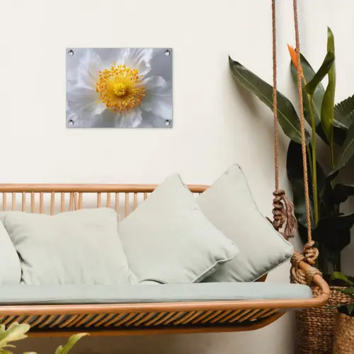 Wit - Bloem - Elegant tuinposter los doek klein -sfeer7