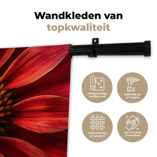 Close up - Bloem- Rood Wandkleed katoen klein -sfeer2