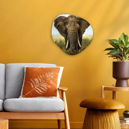 Olifant - Natuur - Gras - Dieren - Landschap Wandcirkel Organisch Forex 3mm klein -sfeer4