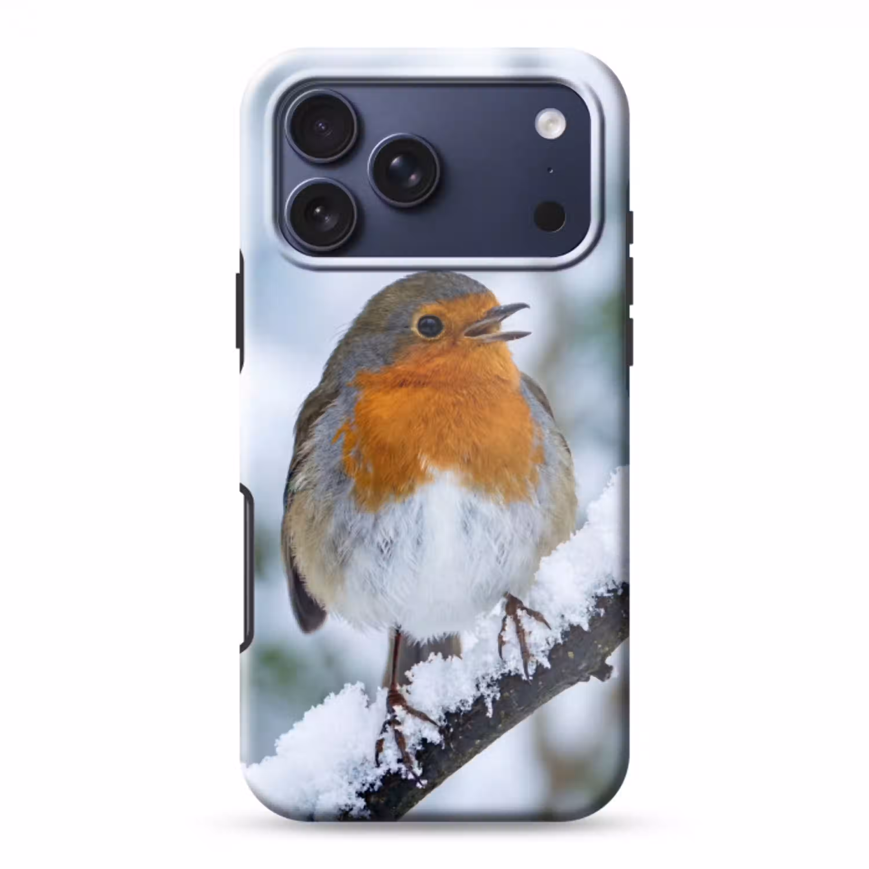 Roodborstje - Tak - Sneeuw - Winter - Levendig Toughcase MagSafe Apple iPhone 17 Pro Max klein -3d