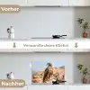 Valk - Vogel - Rots - Macht keuken achterwand spatscherm klein -voor_na_DE