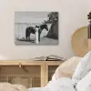 Vrouw - Paard - Artistiek PET vilt klein -sfeer3