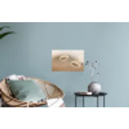 Hazestaartgras - Graanharen - Zonlicht Muursticker klein -plant