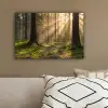 Bos - Zonlicht - Gras canvas 2cm klein -sfeer3