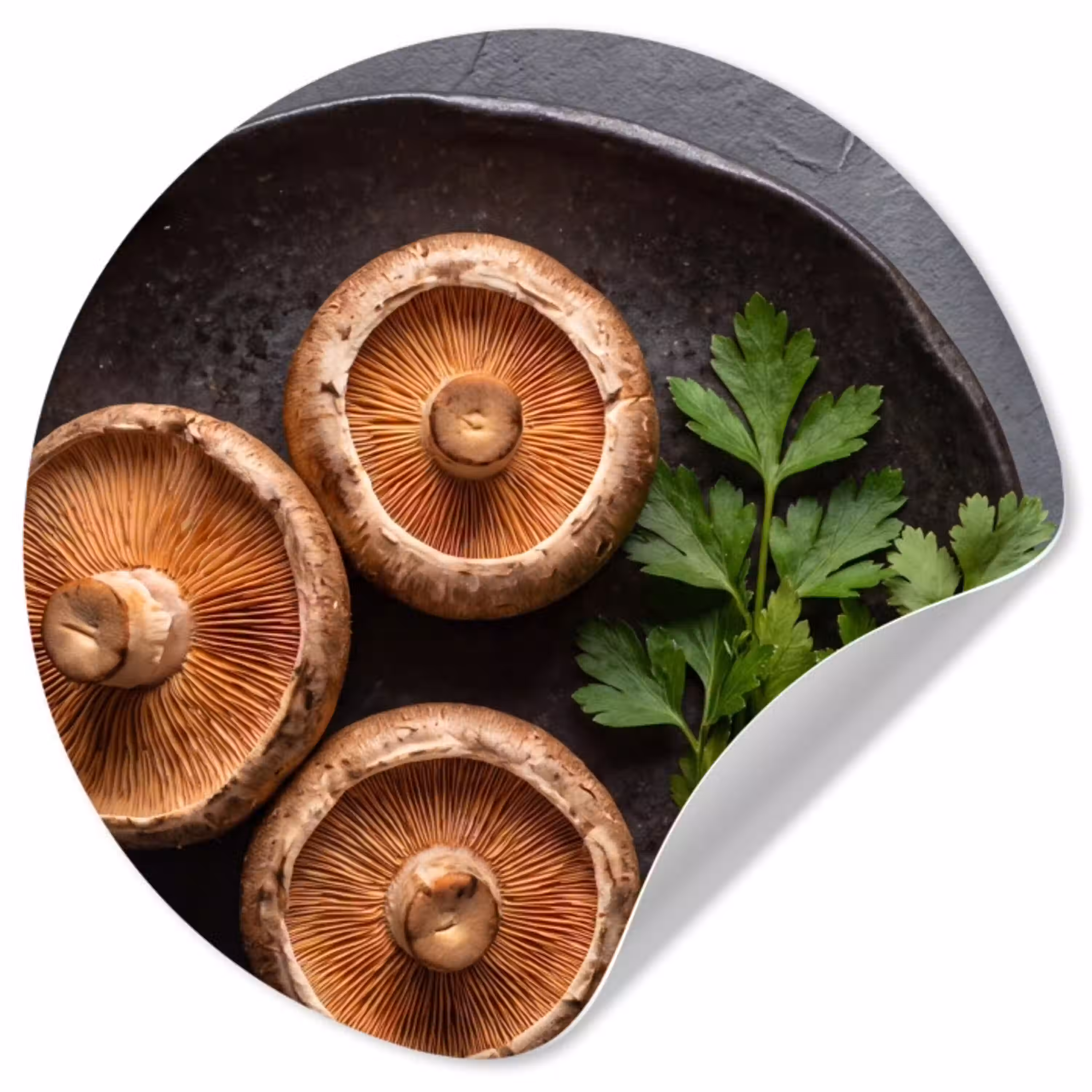Paddestoelen - Kruiden - Eten Wandcirkel behangsticker klein -3d