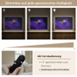 Koraal - Vis - Oranje - Zee Light Box met batterij (Wandlamp) middel -USP_dimbaarDE