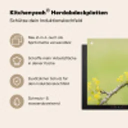 Vogel - Tak - Natuur - Kleurrijk Inductie beschemer met haakjes klein -ky-usp-de