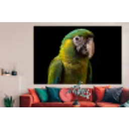 Ara - Portret - Groen forex 5mm xxl -woonkamer
